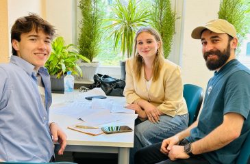 Intensive German Courses in Halle: Small Classes and Personalized Learning